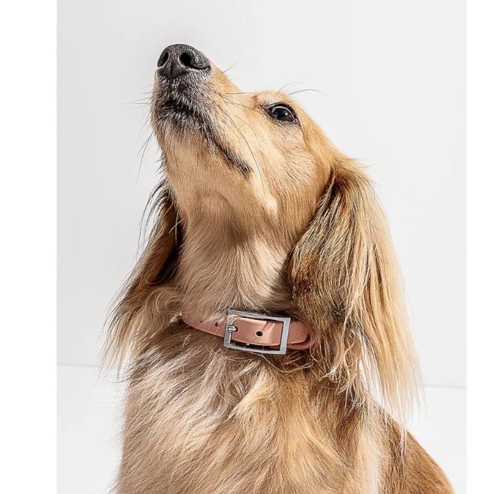 Wild One Collar in Blush XS NEW $38 EXTRA SMALL 7”-10